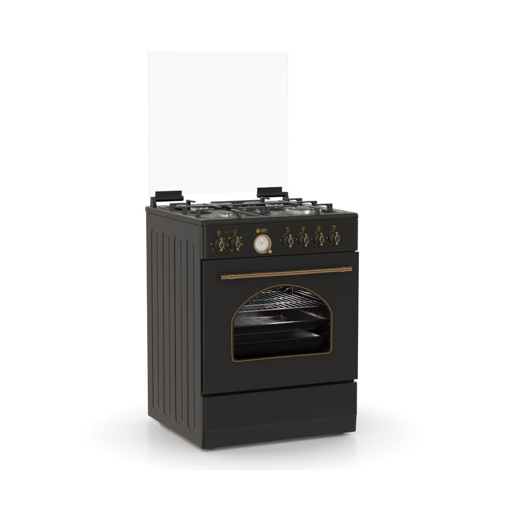 Thermogatz Κουζίνα Ηλεκτρική 60lt με Εστίες Αερίου TGS 4310 ANTH - 04.401.093
